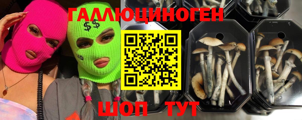 магазин  наркотиков  Вход с VPN  Югорск  Псилоцибиновые грибы прущие грибы 